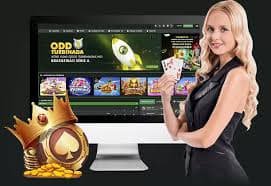 Bandar Ceme live dealer table at tuan pencet